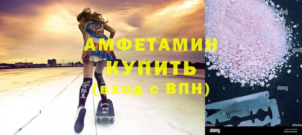 шишки Дмитриев