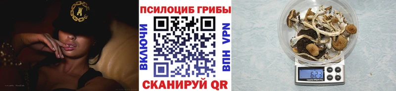 Галлюциногенные грибы Magic Shrooms  Талица 